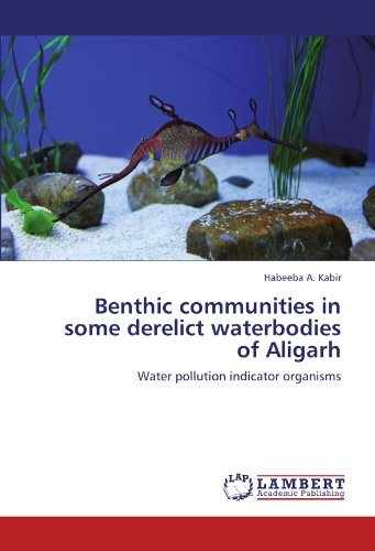 Cover for Habeeba A. Kabir · Benthic Communities in Some Derelict Waterbodies of Aligarh: Water Pollution Indicator Organisms (Paperback Bog) (2012)