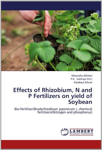 Cover for Kibebew Kibret · Effects of Rhizobium, N and P Fertilizers on Yield of Soybean: Bio-fertilizer (Bradyrhizobium Japonicum ), Chemical Fertilizers (Nitrogen and Phosphorus) (Taschenbuch) (2012)