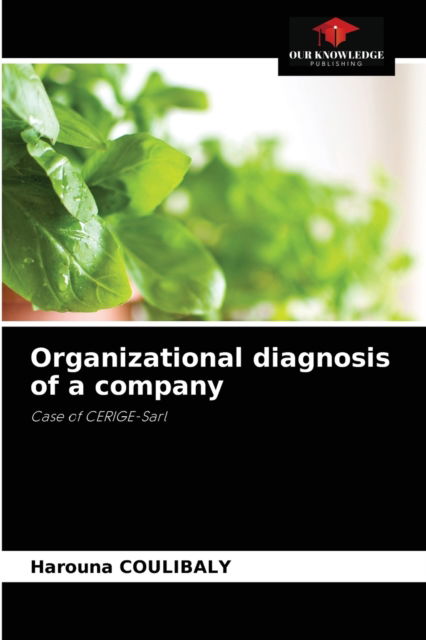 Cover for Harouna Coulibaly · Organizational diagnosis of a company (Paperback Book) (2021)