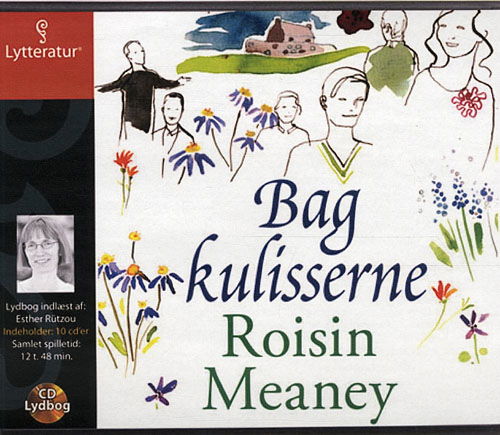 Cover for Roisin Meaney · Bag kulisserne (Book) (2011)