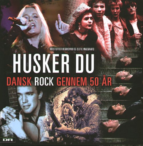 Cover for Kristoffer Hegnsvad · Husker du (Gebundesens Buch) [1. Ausgabe] (2008)