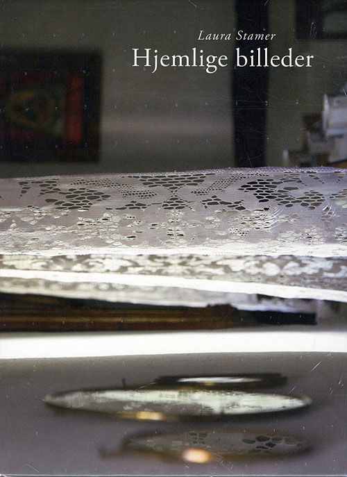 Cover for Laura Stamer · Hjemlige billeder (Bound Book) [1. wydanie] [Indbundet] (2010)