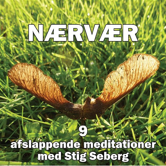 Cover for Stig Seberg · Fejloprettet (CD) [1:a utgåva] (2021)