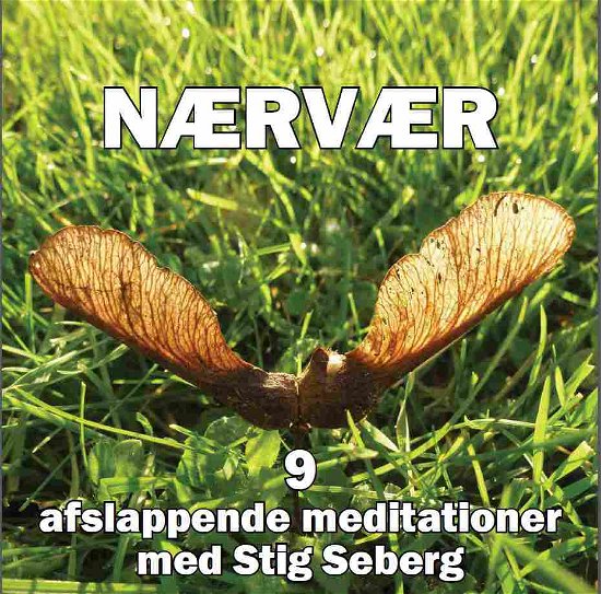 Cover for Stig Seberg · Nærvær (CD) [1. udgave] (2021)