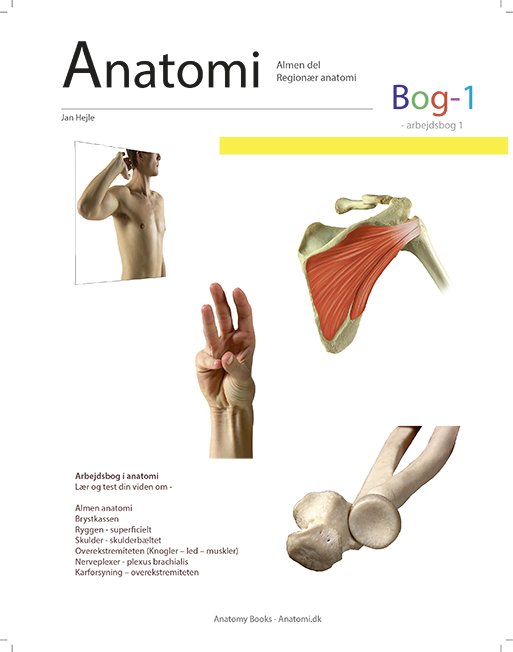 Arbejdsbøger - Bevægeapparatets anatomi: Anatomi - Bog 1 - Jan Hejle - Bøger - AnatomyBooks-anatomi.dk - 9788797081129 - 14. februar 2020
