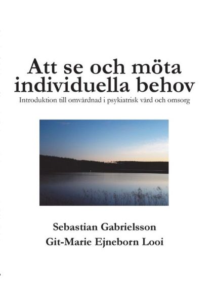 Cover for Gabrielsson · Att se och möta individuell (Book) (2017)