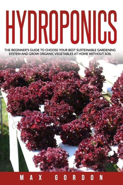 Cover for Max Gordon · Hydroponics (Paperback Book) (2020)