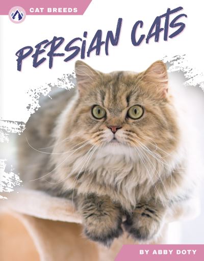 Cover for Abby Doty · Persian Cats - Cat Breeds (Hardcover Book) (2025)