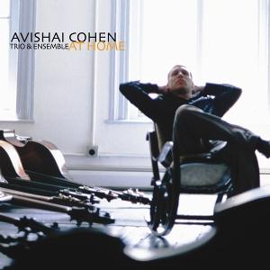 Cover for Avishai Cohen · At Home (LP) (2025)