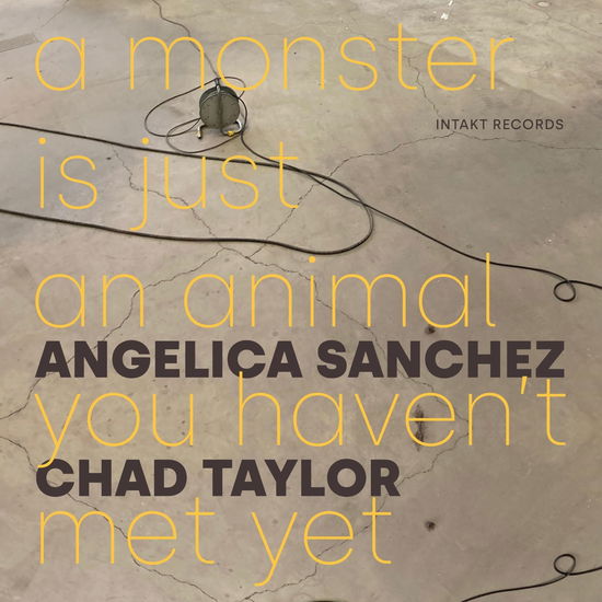 Cover for Angelica Sanchez &amp; Chad Taylor · A Monster Is Just An Animal You Haven't Met Yet (CD) (2024)