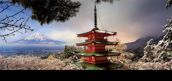 Cover for Educa · 18013 - Montieren Fuji Und Pagoda Chureito Japon Panorama Puzzle - 3000 Teile (Toys) (2020)