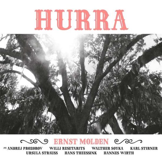 Ernst Molden · Hurra (CD) (2018)