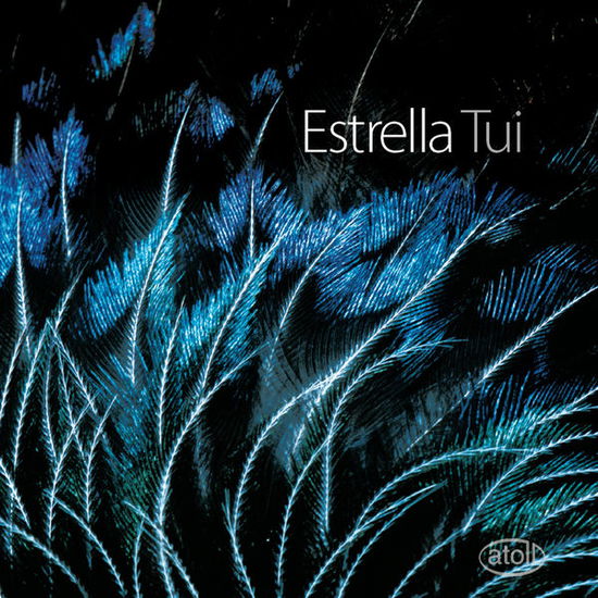 * Tui: Werke für 2 Klaviere,8 Hände - Estrella - Music - Atoll - 9421000503130 - June 8, 2015