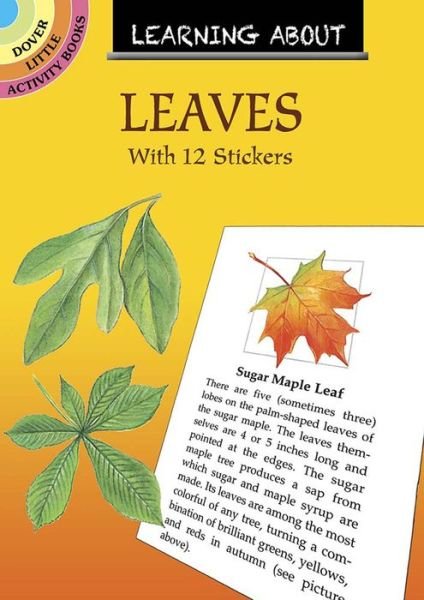 Cover for Dot Barlowe · Learning About Leaves: With 12 Stickers - Little Activity Books (Paperback Book) (2019)