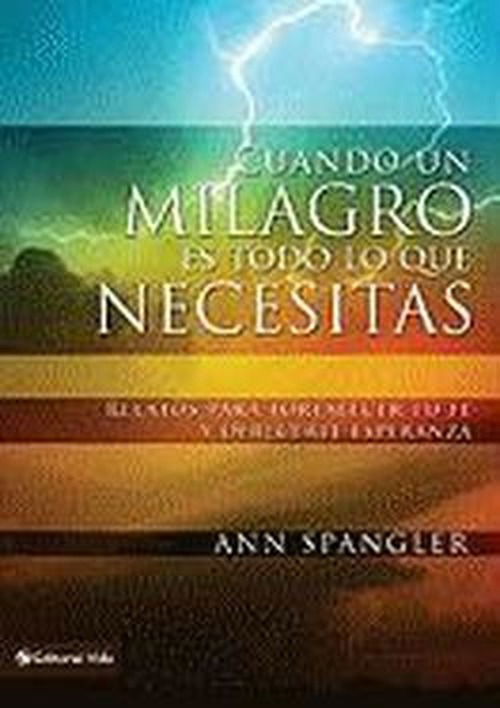 Cover for Ann Spangler · Cuando un milagro es todo lo que necesitas: Relatos para fortalecer tu fe y ofrecerte esperanza (Taschenbuch) [Spanish edition] (2011)