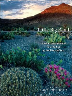 Cover for Roy Morey · Little Big Bend: Common, Uncommon, and Rare Plants of Big Bend National Park - Grover E. Murray Studies in the American Southwest (Paperback Book) (2008)