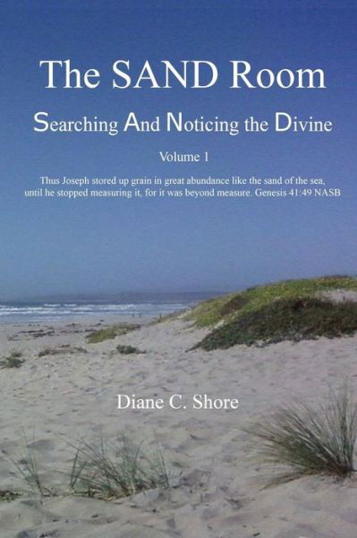 Cover for Diane C Shore · The Sand Room Vol. 1: Searching and Noticing the Divine (Paperback Book) (2015)