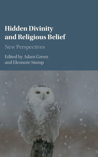 Hidden Divinity and Religious Belief: New Perspectives - Adam Green - Livres - Cambridge University Press - 9781107078130 - 5 février 2016