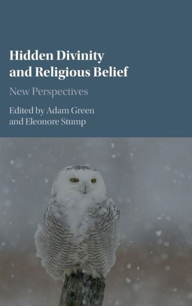 Hidden Divinity and Religious Belief: New Perspectives - Adam Green - Bøker - Cambridge University Press - 9781107078130 - 5. februar 2016