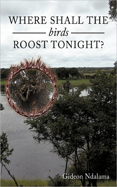 Cover for Gideon Ndalama · Where Shall the Birds Roost Tonight? (Paperback Book) (2011)