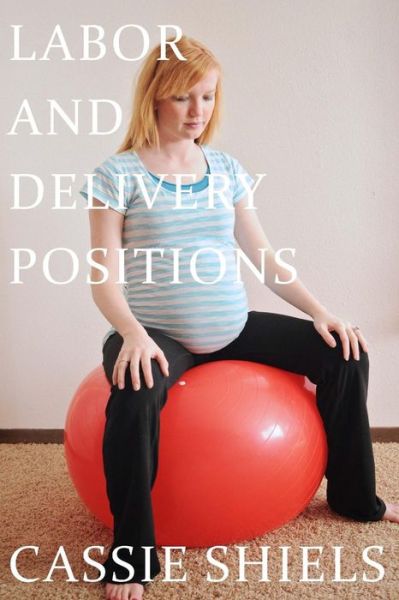 Cover for Cassie M Shiels · Labor and Delivery Positions (Paperback Book) (2015)