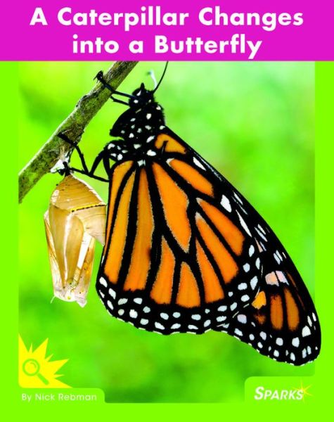 Caterpillar Changes into a Butterfly - Nick Rebman - Books - RiverStream Publishing - 9781683200130 - July 15, 2016