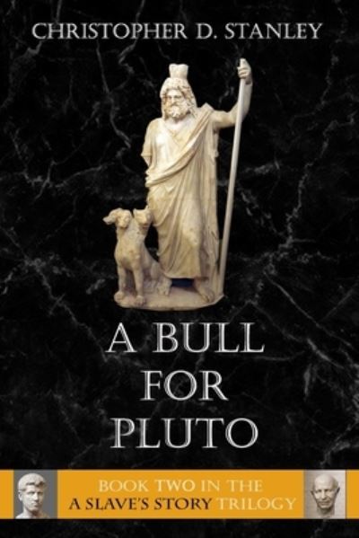 Cover for Christopher D. Stanley · Bull for Pluto (Paperback Book) (2020)