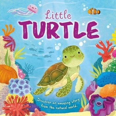 Cover for IglooBooks · Nature Stories : Little Turtle (Buch) (2023)