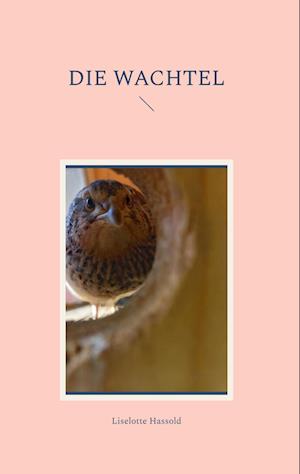Cover for Liselotte Hassold · Die Wachtel (Book) (2023)