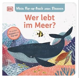 Cover for Sandra Grimm · Mein Pop-up-Buch zum Staunen. Wer lebt im Meer? (Bog) (2023)