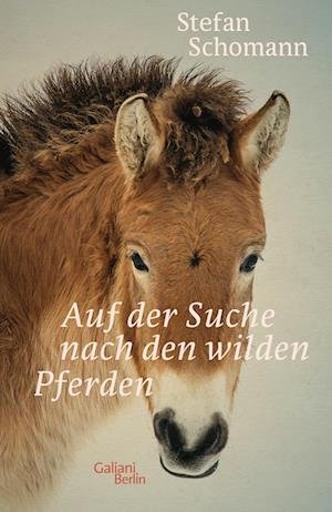 Cover for Stefan Schomann · Auf der Suche nach den wilden Pferden (Inbunden Bok) (2021)