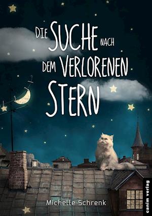 Cover for Michelle Schrenk · Die Suche nach dem verlorenen Stern (Paperback Book) (2015)