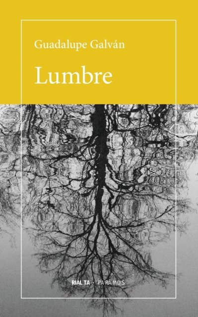 Lumbre - Guadalupe Galvan - Books - Rialta Ediciones - 9786079798130 - August 20, 2018