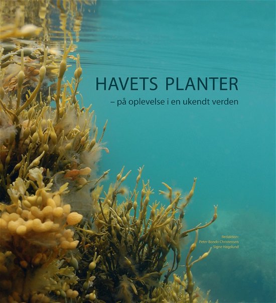 Cover for Bondo Christensen Peter (Red) · Havets planter (Gebundesens Buch) [1. Ausgabe] [Indbundet] (2011)