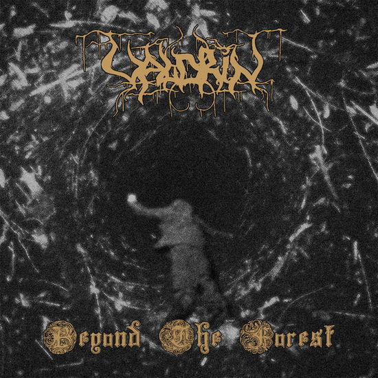 Cover for Valdrin · Beyond the Forest (CD) (2014)