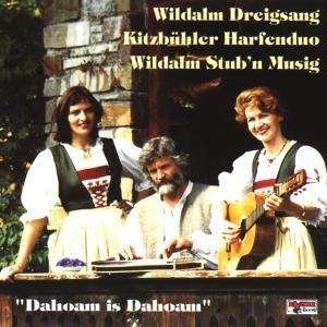 Cover for Wildalm Dreigsang / Kitzbühler Harfenduo · Dahom is Dahoam (CD) (1995)