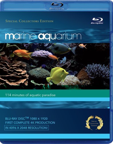 Marine Aquarium - Blu Ray - Filme - IMPORT - 4260109410131 - 20. März 2014