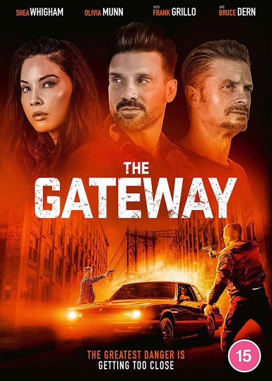 Cover for The Gateway (DVD) (2021)