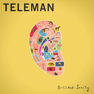 Brilliant Sanity - Teleman - Musik - MOSHI MOSHI - 5414939934131 - 15 april 2016