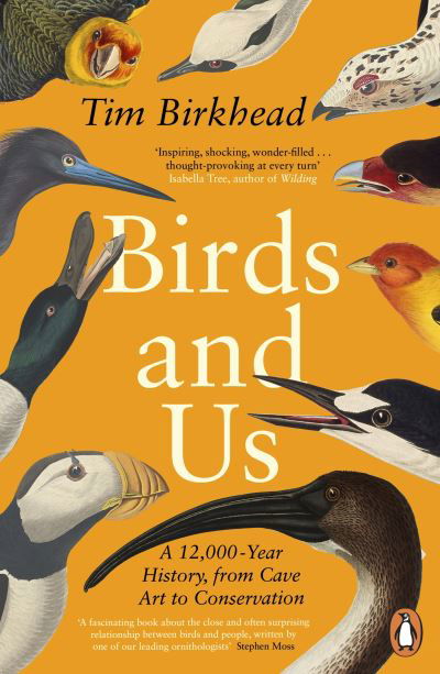 Cover for Tim Birkhead · Birds and Us: A 12,000 Year History, from Cave Art to Conservation (Taschenbuch) (2023)