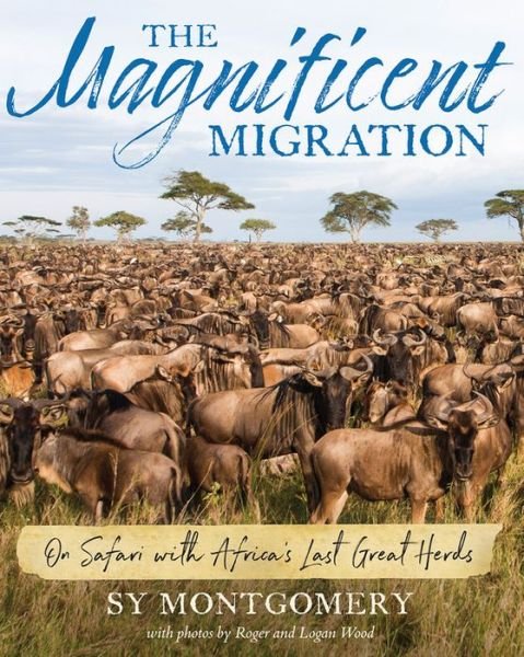 Cover for Sy Montgomery · The Magnificent Migration: On Safari with Africa's Last Great Herds (Gebundenes Buch) (2019)