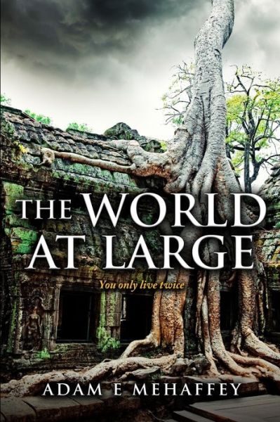 Cover for Adam Mehaffey · The world at large (Paperback Book) (2019)
