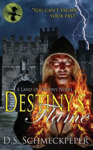 Cover for D S Schmeckpeper · Destiny's Flame (Paperback Book) (2015)