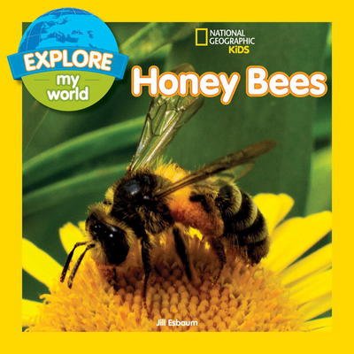 Cover for Jill Esbaum · Explore My World: Honey Bees - Explore My World (Pocketbok) (2017)