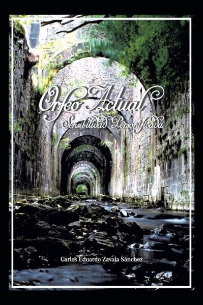 Cover for Carlos Eduardo Zavala Sanchez · Orfeo Actual: Sensibilidad Personificada (Paperback Book) (2013)