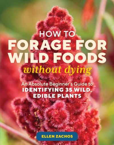 Cover for Ellen Zachos · How to Forage for Wild Foods without Dying: An Absolute Beginner's Guide to Identifying 40 Edible Wild Plants (Taschenbuch) (2023)