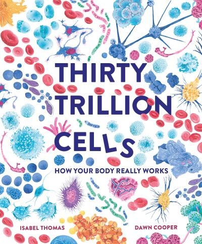 Thirty Trillion Cells: How Your Body Really Works - Isabel Thomas - Livres - Hachette Children's Group - 9781803380131 - 16 février 2023