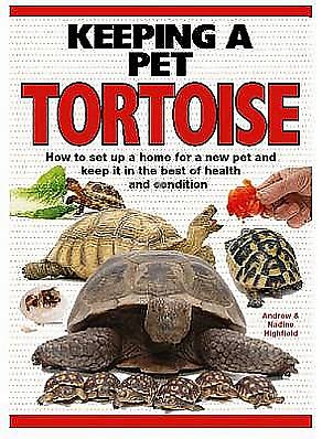 Cover for A.C. Highfield · Keeping a Pet Tortoise (Hardcover Book) (2009)