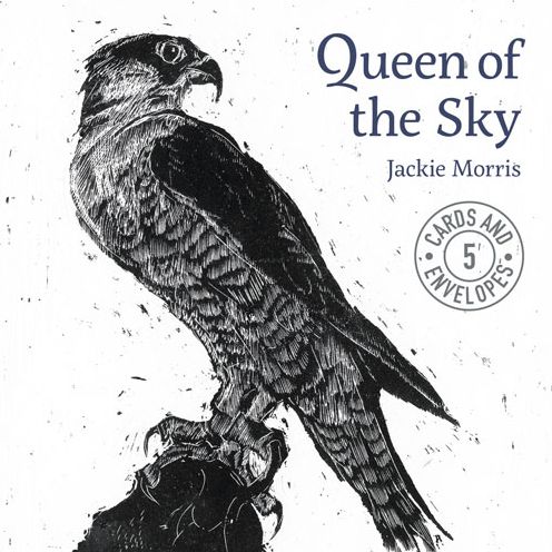 Jackie Morris Queen of the Sky Cards: Pack 2 - Jackie Morris - Books - Graffeg Limited - 9781910862131 - September 6, 2016