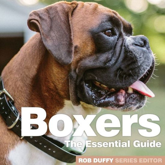 Cover for Rob Duffy · Boxers: The Essential Guide (Taschenbuch) (2020)